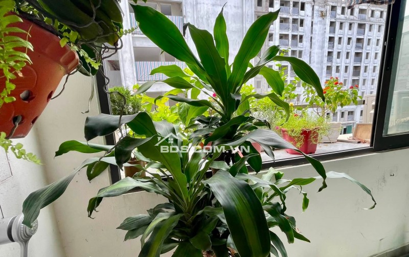 Chính chủ cần bán chung cư FLC tropical Hà Khánh 950 triệu